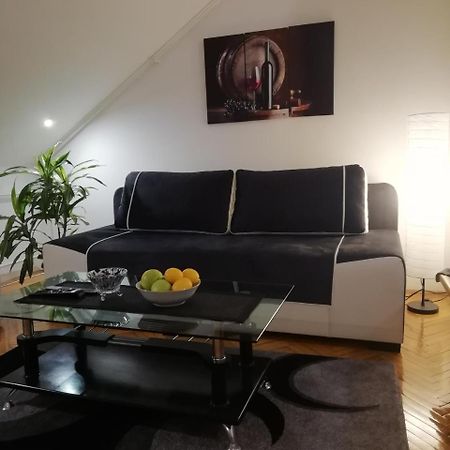 Two Kings Apartment Novi Sad Esterno foto