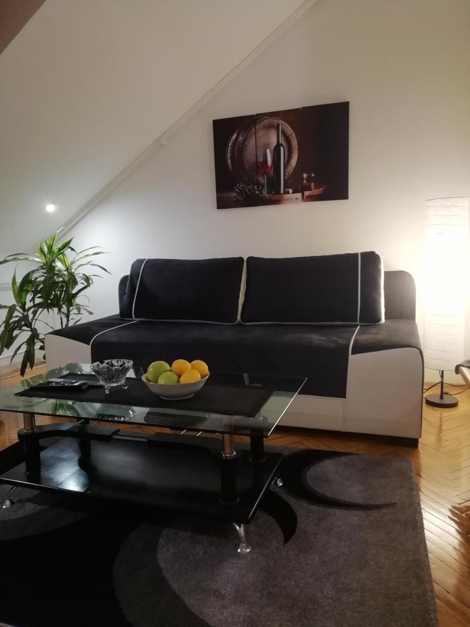 Two Kings Apartment Novi Sad Esterno foto