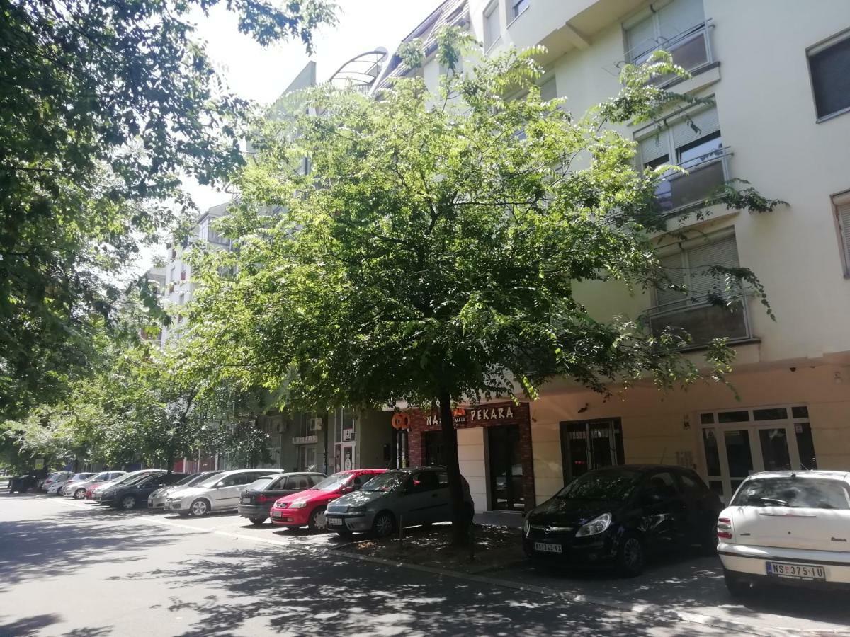 Two Kings Apartment Novi Sad Esterno foto
